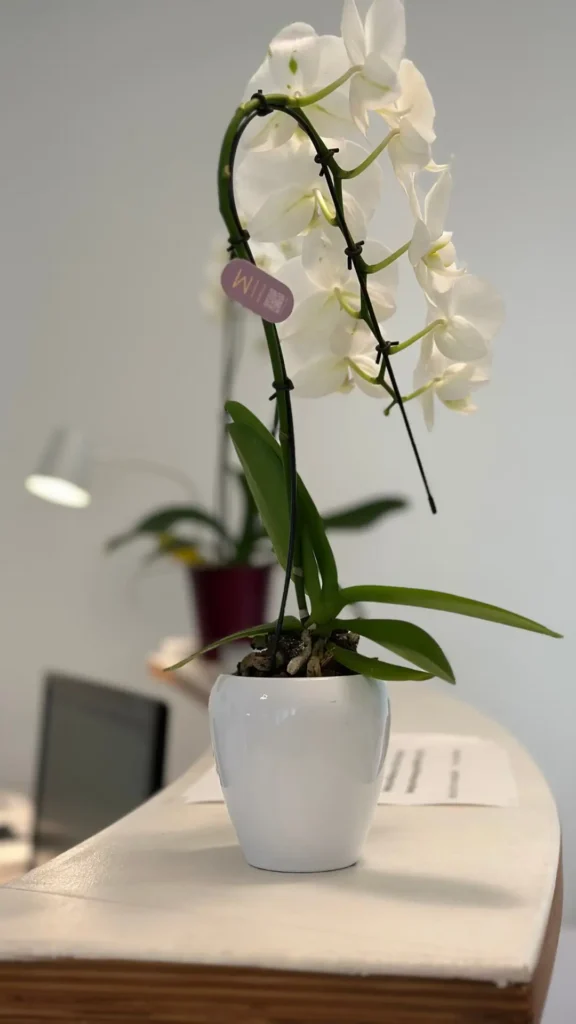 Empfang der Physiotherapiepraxis Mölders Marktplatz 1 in Rott a. Inn